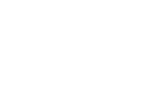 LOGO BARSEN for mmotion